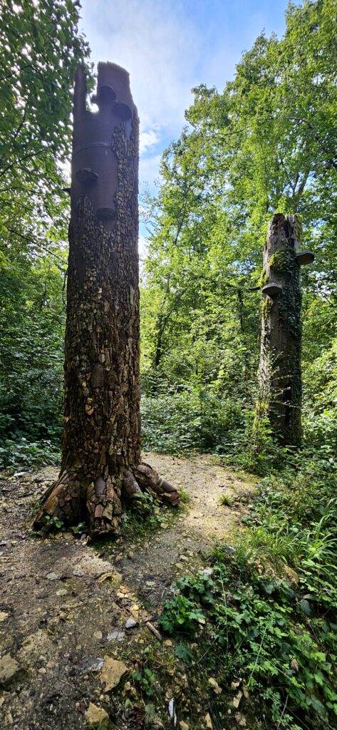 Vent des forets 07.09.24