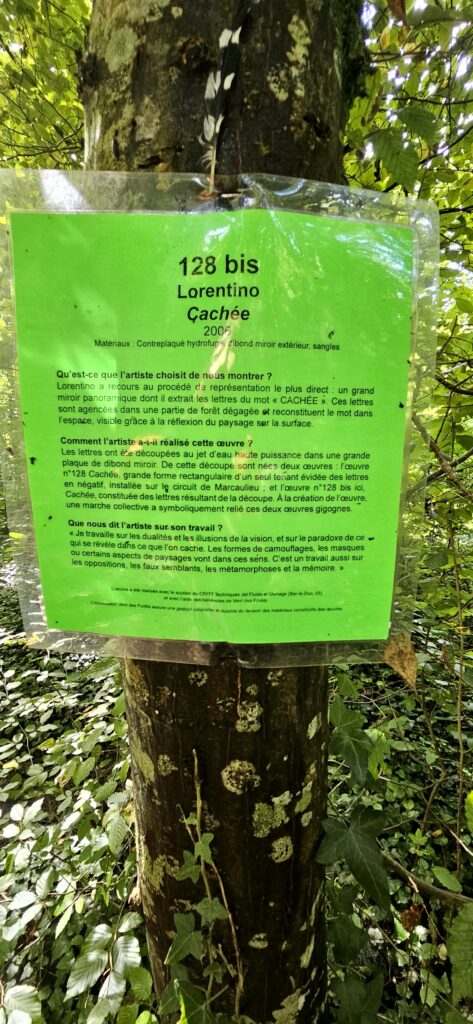 Vent des forets 07.09.24