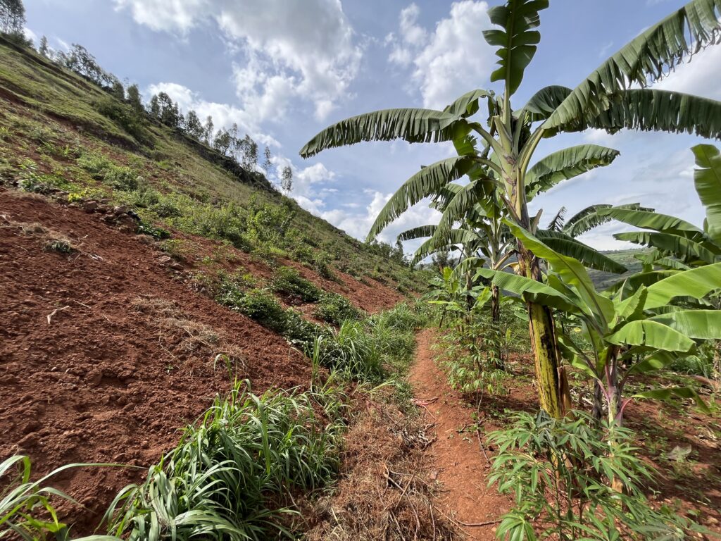 page actu Rwanda